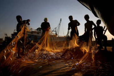 2. TARIM VE İNSAN FOTOĞRAF YARIŞMASI - İsmet DANYELİ