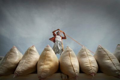 2. TARIM VE İNSAN FOTOĞRAF YARIŞMASI - Hasan CABUL 