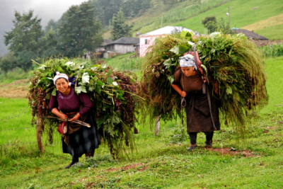 2. TARIM VE İNSAN FOTOĞRAF YARIŞMASI - Ali MERMERTAŞ