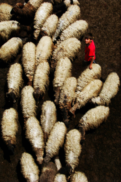 2. TARIM VE İNSAN FOTOĞRAF YARIŞMASI - Ali TÜRKOĞLU