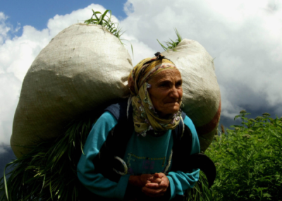 2. TARIM VE İNSAN FOTOĞRAF YARIŞMASI - Aysel ÖNDER 