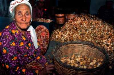 2. TARIM VE İNSAN FOTOĞRAF YARIŞMASI - Birol ÜZMEZ