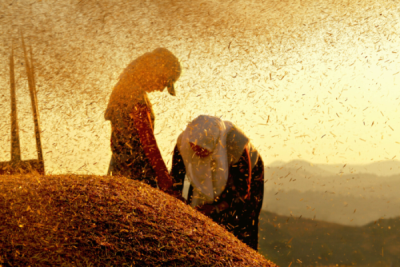 2. TARIM VE İNSAN FOTOĞRAF YARIŞMASI - Burcu EMEKTAR