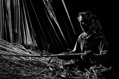 2. TARIM VE İNSAN FOTOĞRAF YARIŞMASI - Cihan KARACA