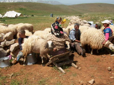 2. TARIM VE İNSAN FOTOĞRAF YARIŞMASI - Emine ÇEVİK