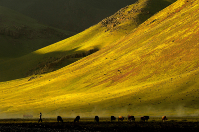 2. TARIM VE İNSAN FOTOĞRAF YARIŞMASI - Erden CANTÜRK