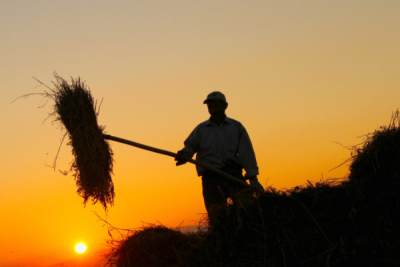2. TARIM VE İNSAN FOTOĞRAF YARIŞMASI - Feridun EMEKTAR
