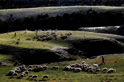 2. TARIM VE İNSAN FOTOĞRAF YARIŞMASI - Gök Alp BİLİCİ