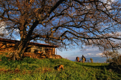 2. TARIM VE İNSAN FOTOĞRAF YARIŞMASI - İsmail ERTİN