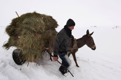 2. TARIM VE İNSAN FOTOĞRAF YARIŞMASI - Kamil SİLAHTAROĞLU