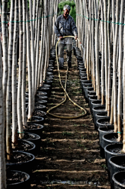 2. TARIM VE İNSAN FOTOĞRAF YARIŞMASI - Kemal ÖZKILIÇ