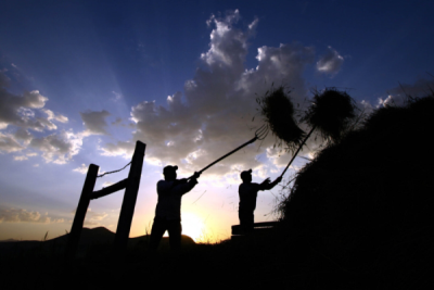 2. TARIM VE İNSAN FOTOĞRAF YARIŞMASI - M. Arif YAVUZ