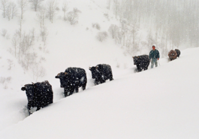 2. TARIM VE İNSAN FOTOĞRAF YARIŞMASI - Mehmet DEDE