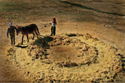 2. TARIM VE İNSAN FOTOĞRAF YARIŞMASI - Mehmet KORU