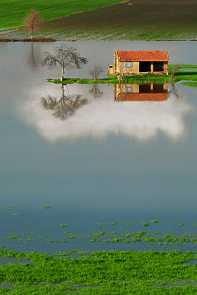 2. TARIM VE İNSAN FOTOĞRAF YARIŞMASI - Mehmet ÖZTÜRK