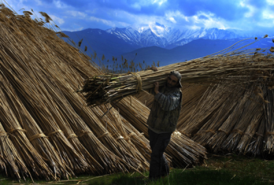 2. TARIM VE İNSAN FOTOĞRAF YARIŞMASI - Melike ÜNAL