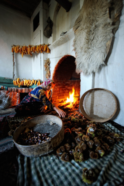 2. TARIM VE İNSAN FOTOĞRAF YARIŞMASI - Mustafa DEMİRBAŞ