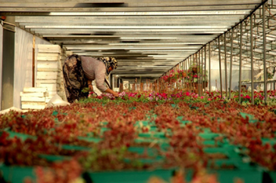 2. TARIM VE İNSAN FOTOĞRAF YARIŞMASI - O.Erbil UYGUR