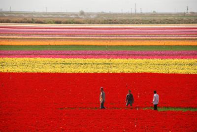 2. TARIM VE İNSAN FOTOĞRAF YARIŞMASI - Orhan ERMETİN