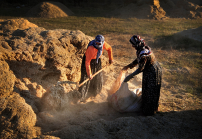 2. TARIM VE İNSAN FOTOĞRAF YARIŞMASI - Ömer PEK