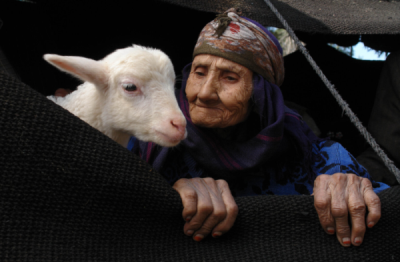 2. TARIM VE İNSAN FOTOĞRAF YARIŞMASI - Refik KARACAOĞLU