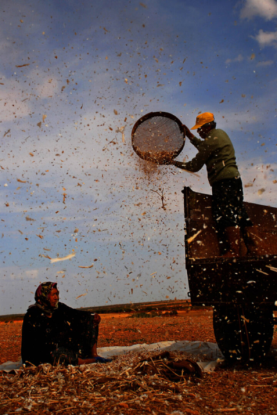 2. TARIM VE İNSAN FOTOĞRAF YARIŞMASI - Remzi ÇETİN