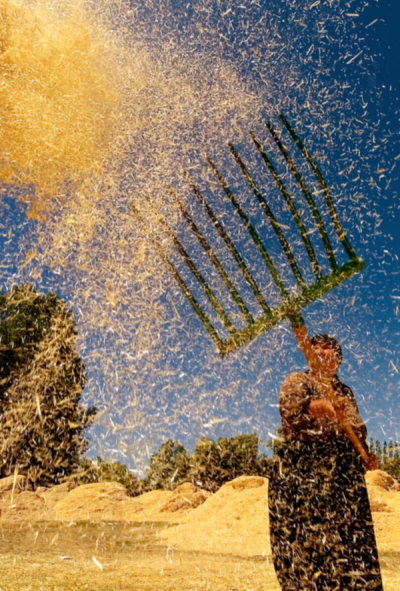 2. TARIM VE İNSAN FOTOĞRAF YARIŞMASI - Serdar ARSLAN