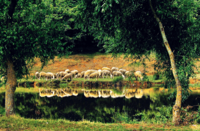 2. TARIM VE İNSAN FOTOĞRAF YARIŞMASI - Sinan BAŞKAN
