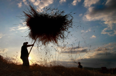 2. TARIM VE İNSAN FOTOĞRAF YARIŞMASI - Tacettin YÜKSEL