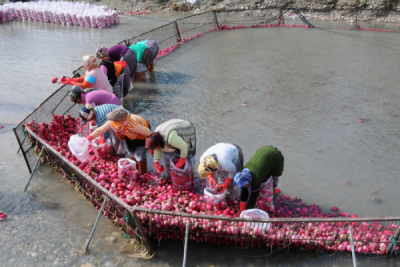 2. TARIM VE İNSAN FOTOĞRAF YARIŞMASI - Tahsin TOPÇU