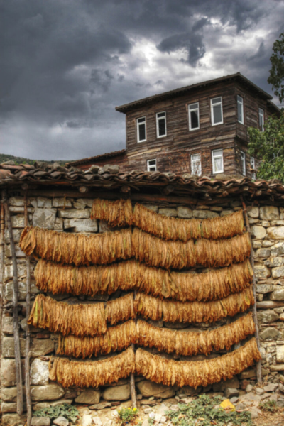 2. TARIM VE İNSAN FOTOĞRAF YARIŞMASI - Ufuk KIRAY