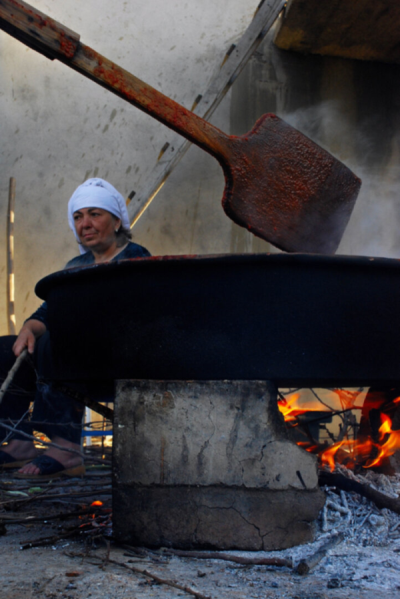 2. TARIM VE İNSAN FOTOĞRAF YARIŞMASI - Ümit KATEKE