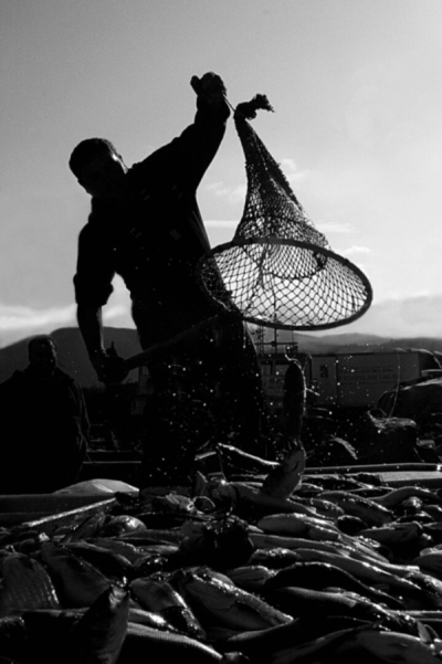 2. TARIM VE İNSAN FOTOĞRAF YARIŞMASI - Zeliha BEGÖZ