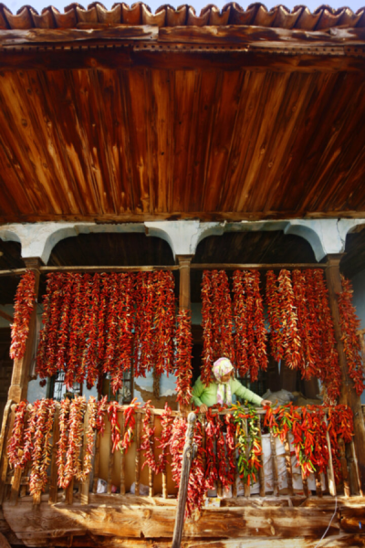 2. TARIM VE İNSAN FOTOĞRAF YARIŞMASI - Yılmaz TOPÇU