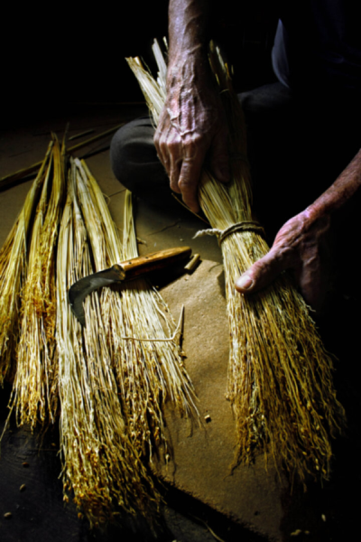 3. TARIM VE İNSAN FOTOĞRAF YARIŞMASI - Kıvanç ŞEN 