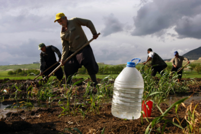 3. TARIM VE İNSAN FOTOĞRAF YARIŞMASI - İrfan BAYAZIT