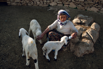 3. TARIM VE İNSAN FOTOĞRAF YARIŞMASI - Mahmut Orhan ALKAYA