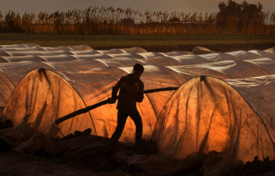 3. TARIM VE İNSAN FOTOĞRAF YARIŞMASI - İsmet DANYELİ