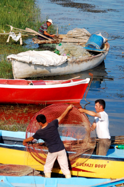 3. TARIM VE İNSAN FOTOĞRAF YARIŞMASI - Mehmet ARAS
