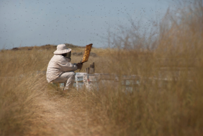 3. TARIM VE İNSAN FOTOĞRAF YARIŞMASI - A.Tufan PALALI