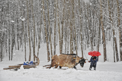 3. TARIM VE İNSAN FOTOĞRAF YARIŞMASI - Ahmet Fatih SÖNMEZ