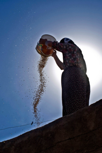 3. TARIM VE İNSAN FOTOĞRAF YARIŞMASI - Çetin KAYA