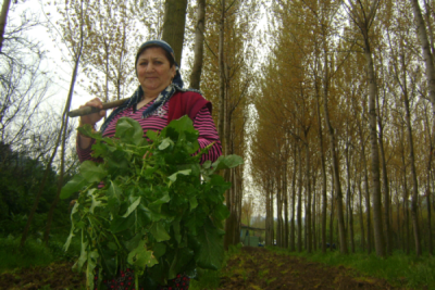 3. TARIM VE İNSAN FOTOĞRAF YARIŞMASI - Damla ZAİMOĞLU
