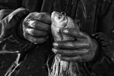 3. TARIM VE İNSAN FOTOĞRAF YARIŞMASI - Erol AYYILDIZ