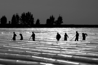 3. TARIM VE İNSAN FOTOĞRAF YARIŞMASI - Evrim ŞAN