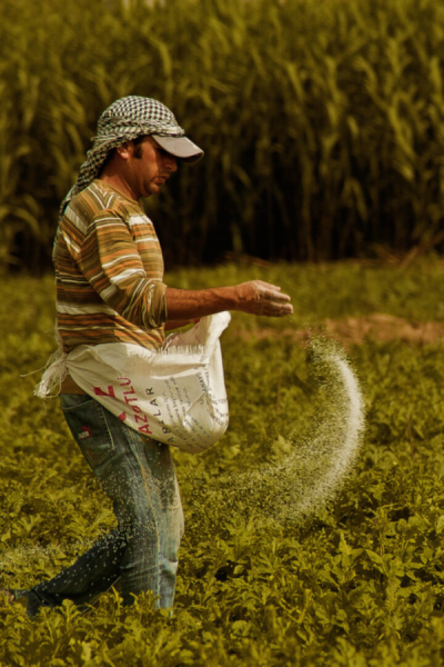 3. TARIM VE İNSAN FOTOĞRAF YARIŞMASI - Hasan Hulki MURADİ