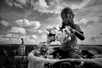 3. TARIM VE İNSAN FOTOĞRAF YARIŞMASI - İlhan MARAŞLI 