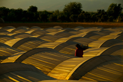 3. TARIM VE İNSAN FOTOĞRAF YARIŞMASI - Mehmet Fatih YILDIZ