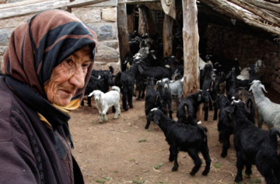 3. TARIM VE İNSAN FOTOĞRAF YARIŞMASI - Mehmet KORU