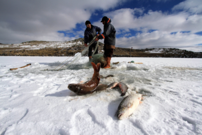 3. TARIM VE İNSAN FOTOĞRAF YARIŞMASI - Murat KAYA